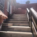 Tatil Evi Ruta El Saucillo